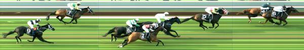 Photo finish