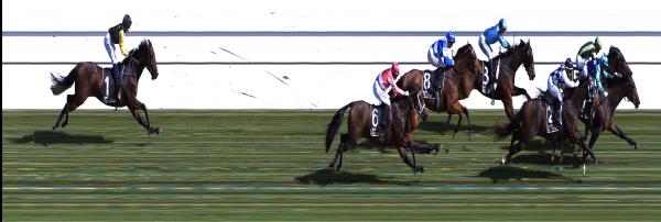 Photo finish