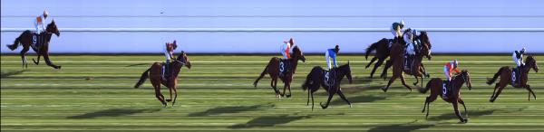 Photo finish