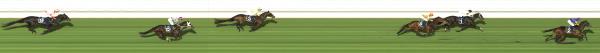 Photo finish