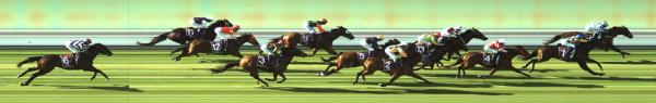 Photo finish
