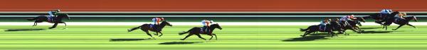 Photo finish
