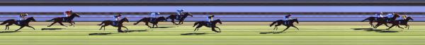Photo finish