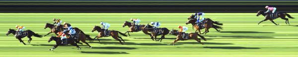 Photo finish