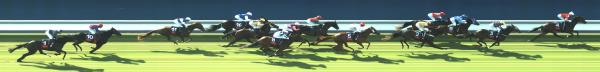 Photo finish