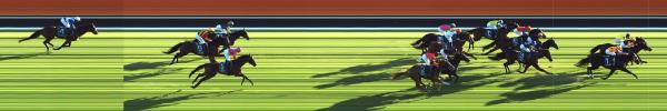 Photo finish