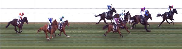 Photo finish