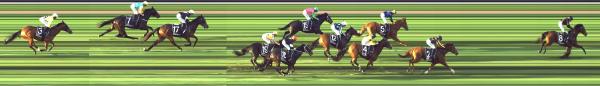 Photo finish