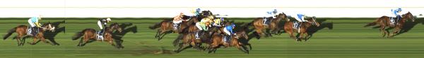Photo finish