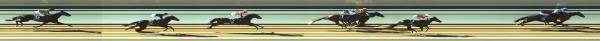 Photo finish