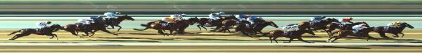 Photo finish