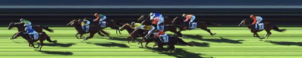 Photo finish