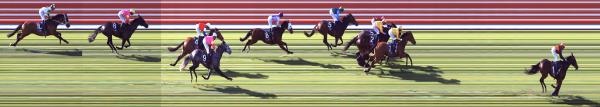 Photo finish