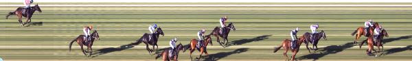 Photo finish