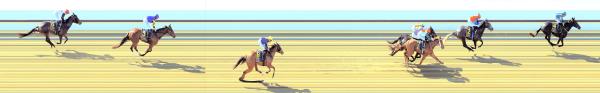 Photo finish