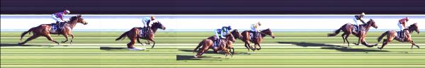 Photo finish