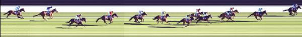 Photo finish