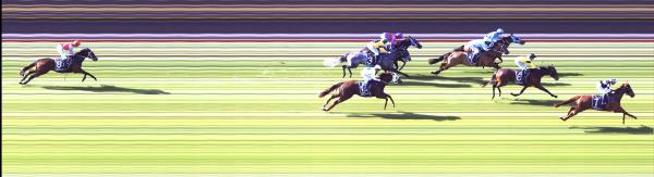 Photo finish