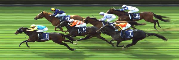 Photo finish