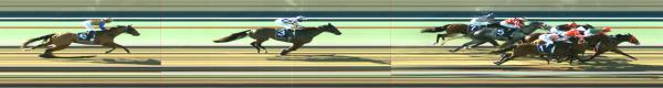 Photo finish