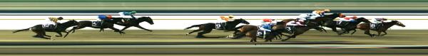 Photo finish