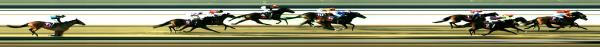 Photo finish