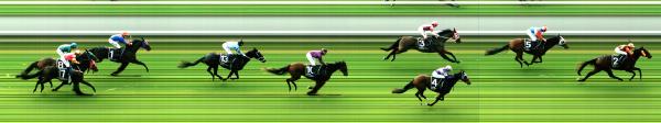 Photo finish