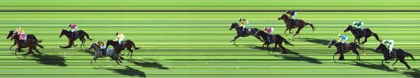 Photo finish