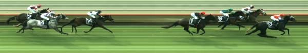 Photo finish