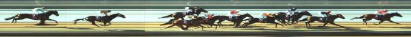 Photo finish