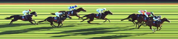 Photo finish