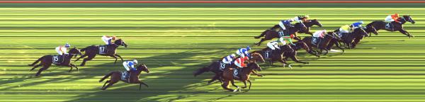 Photo finish