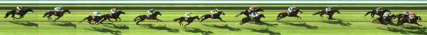 Photo finish