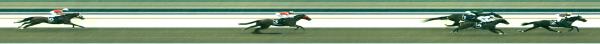 Photo finish