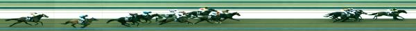Photo finish