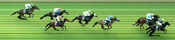 Photo finish