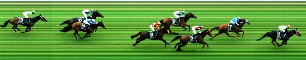 Photo finish