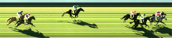 Photo finish