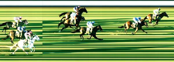Photo finish
