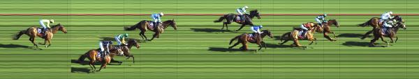 Photo finish