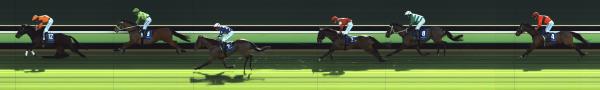 Photo finish