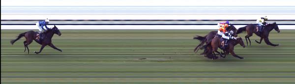 Photo finish