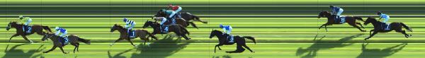 Photo finish