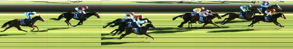 Photo finish