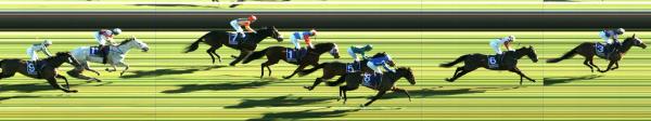 Photo finish
