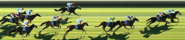 Photo finish