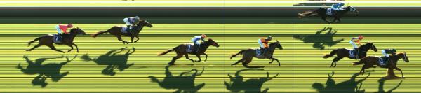 Photo finish