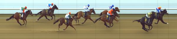 Photo finish