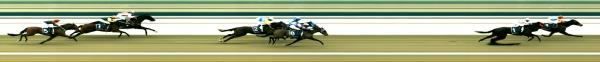 Photo finish