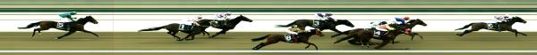 Photo finish